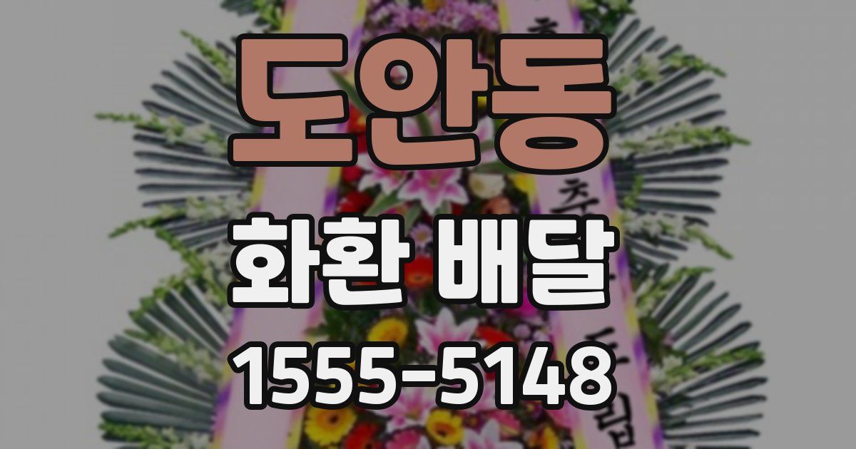 도안동 화환 배달