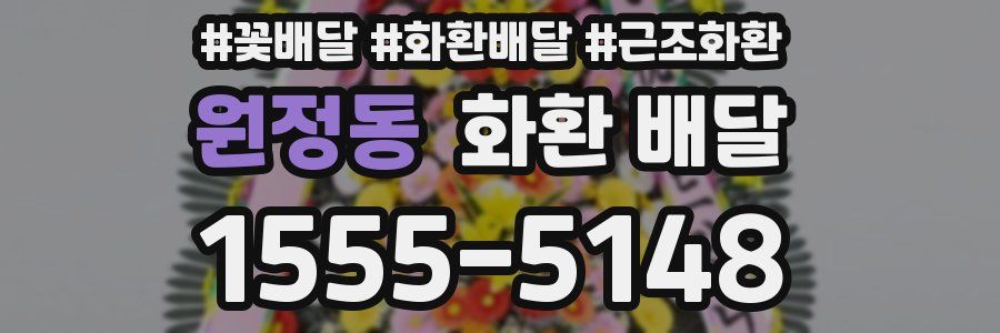 원정동 화환 배달