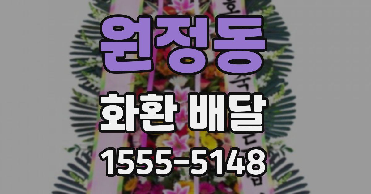 원정동 화환 배달