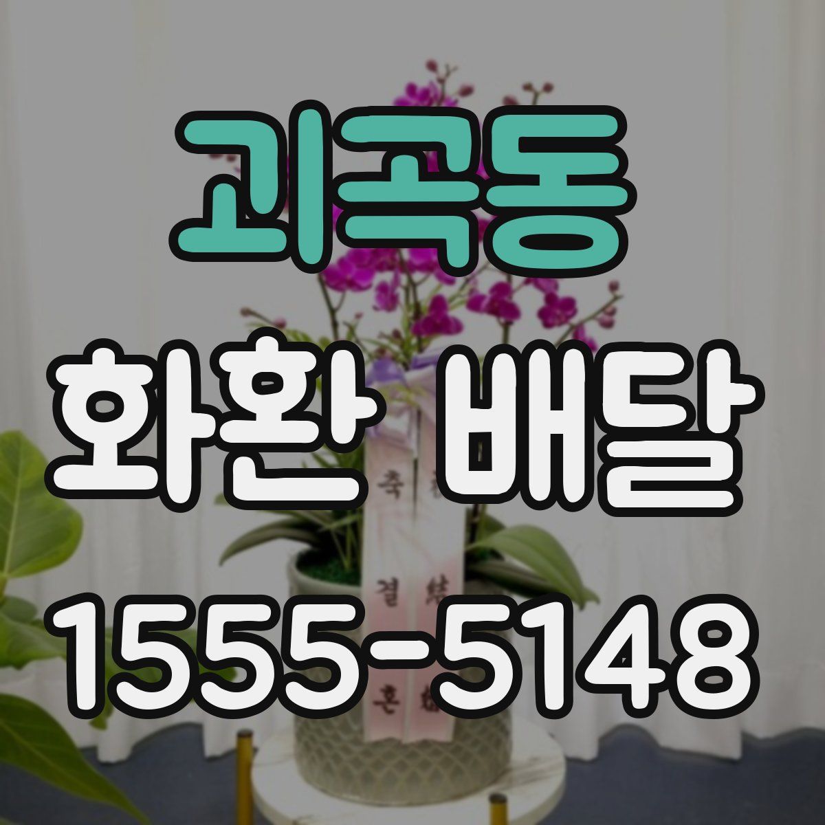 괴곡동 화환 배달
