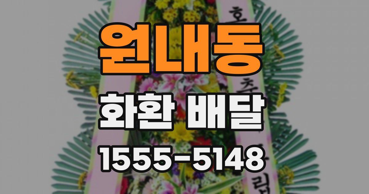 원내동 화환 배달
