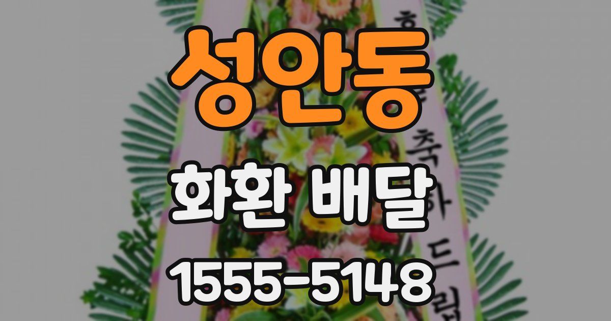 성안동 화환 배달