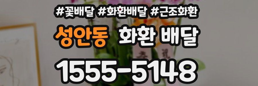 성안동 화환 배달