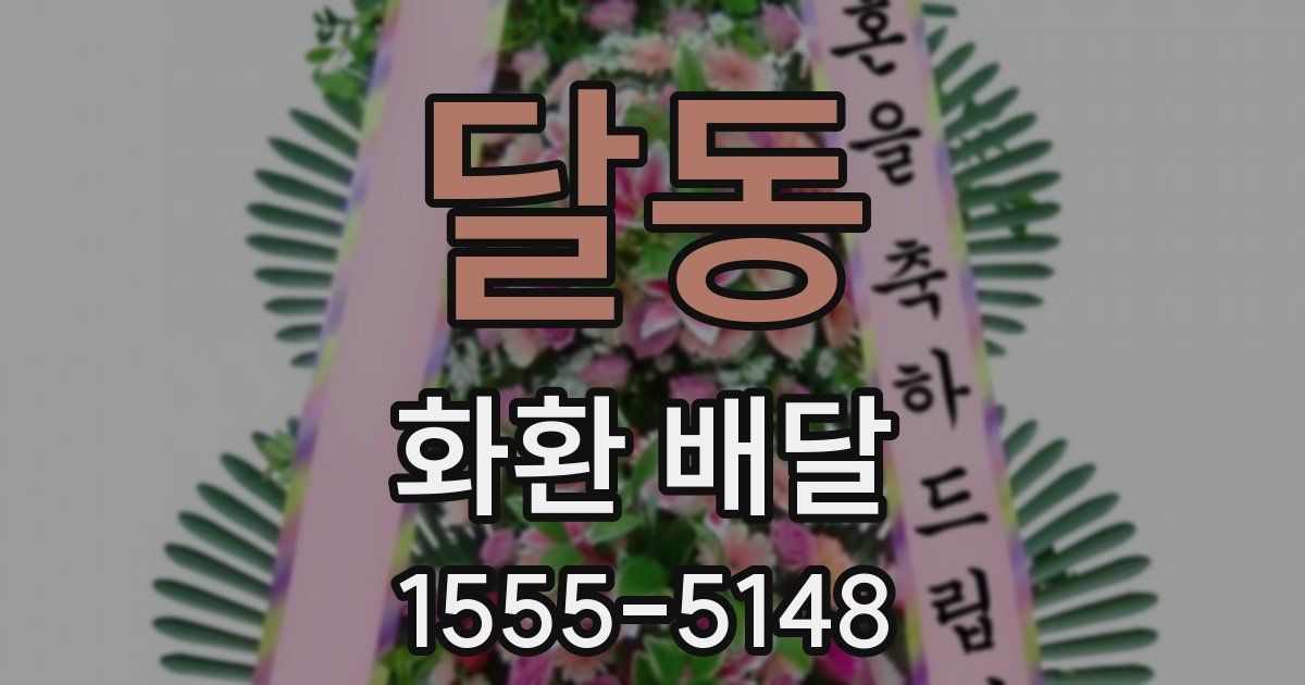 달동 화환 배달