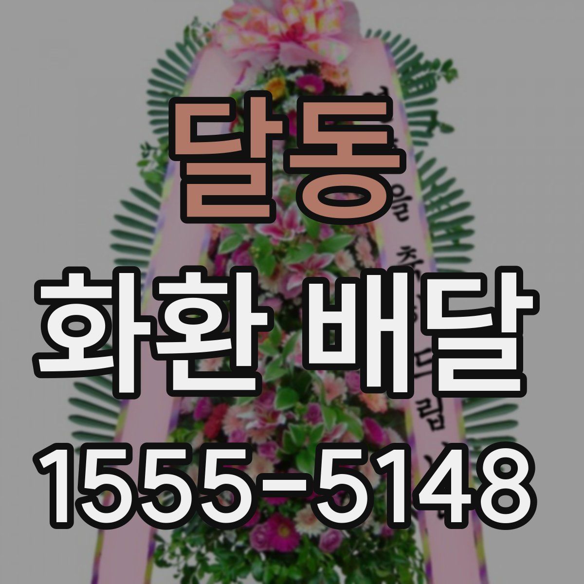 달동 화환 배달