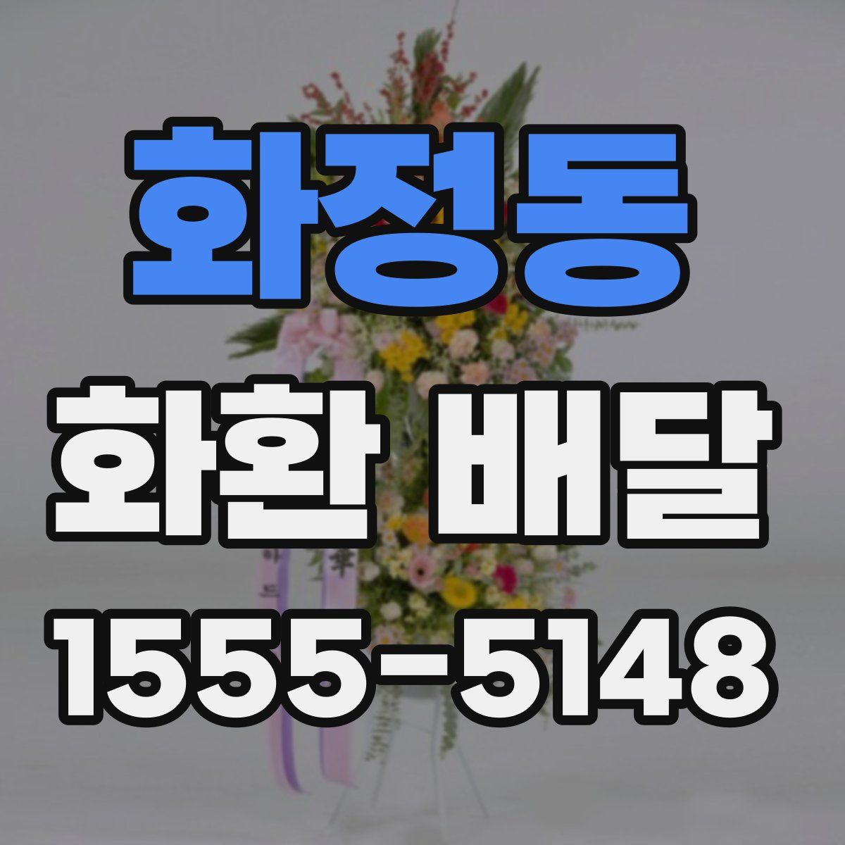 화정동 화환 배달