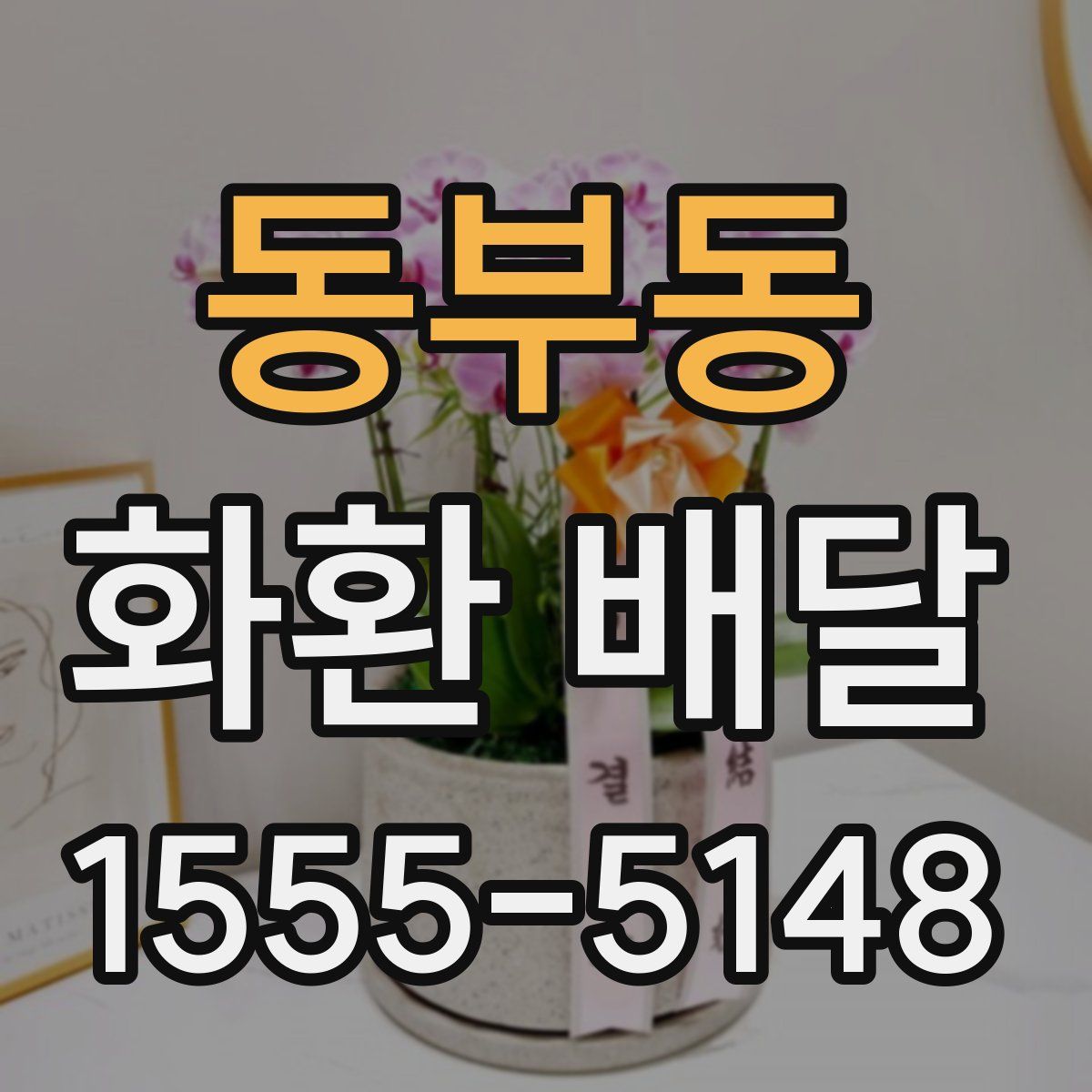 동부동 화환 배달