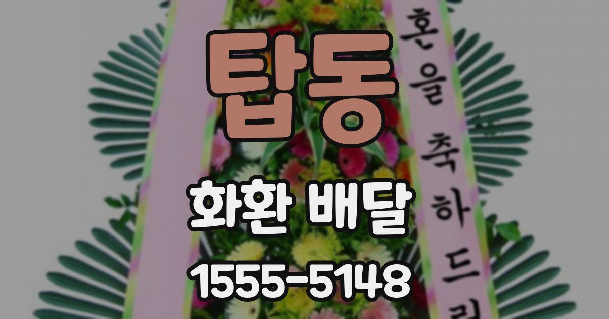 탑동 화환 배달