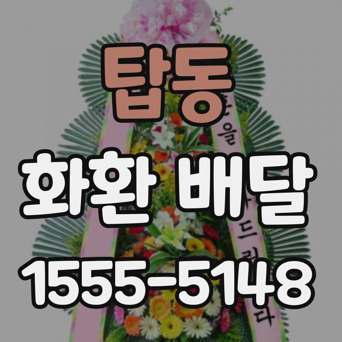 탑동 화환 배달