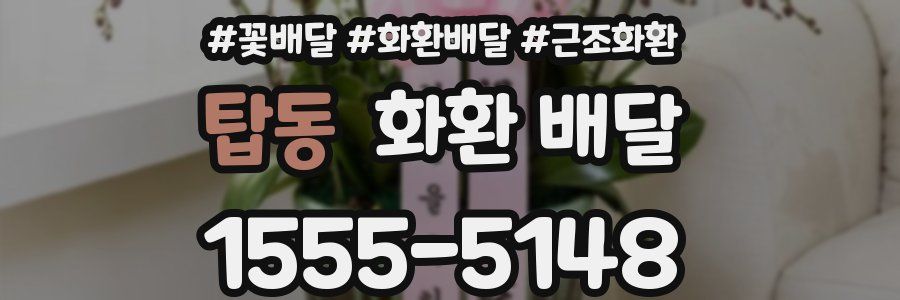 탑동 화환 배달