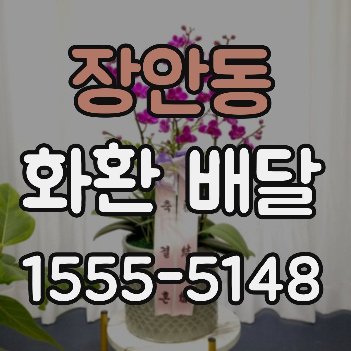 장안동 화환 배달
