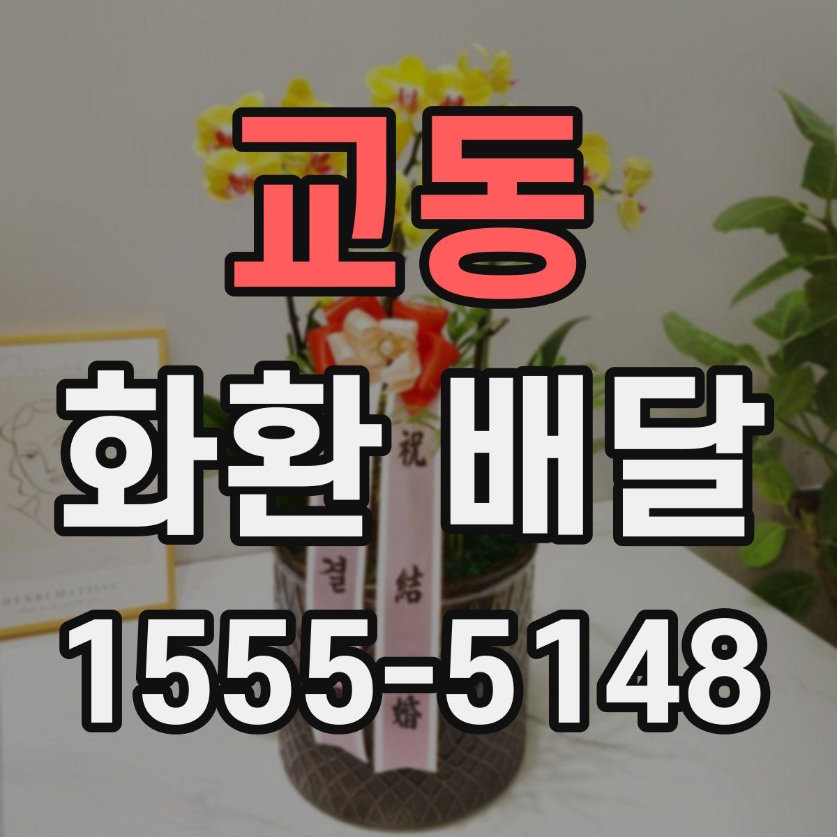 교동 화환 배달
