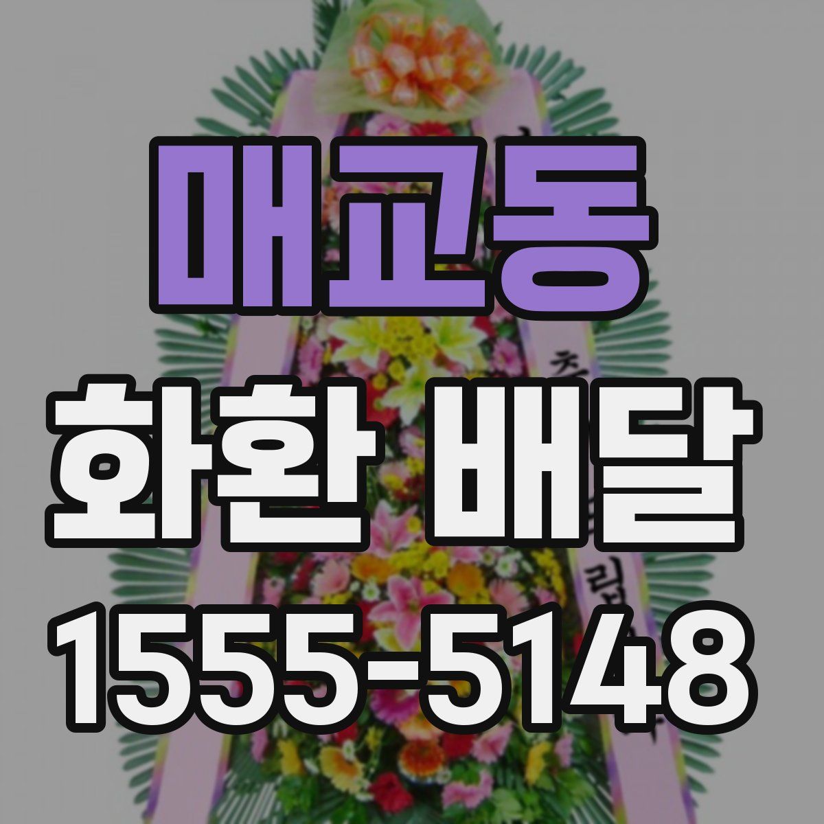 매교동 화환 배달