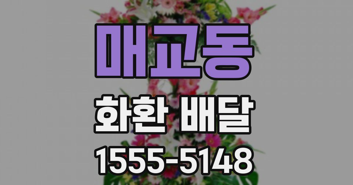 매교동 화환 배달