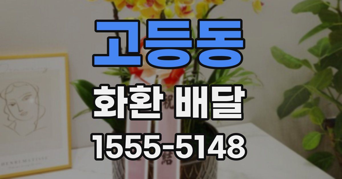 고등동 화환 배달