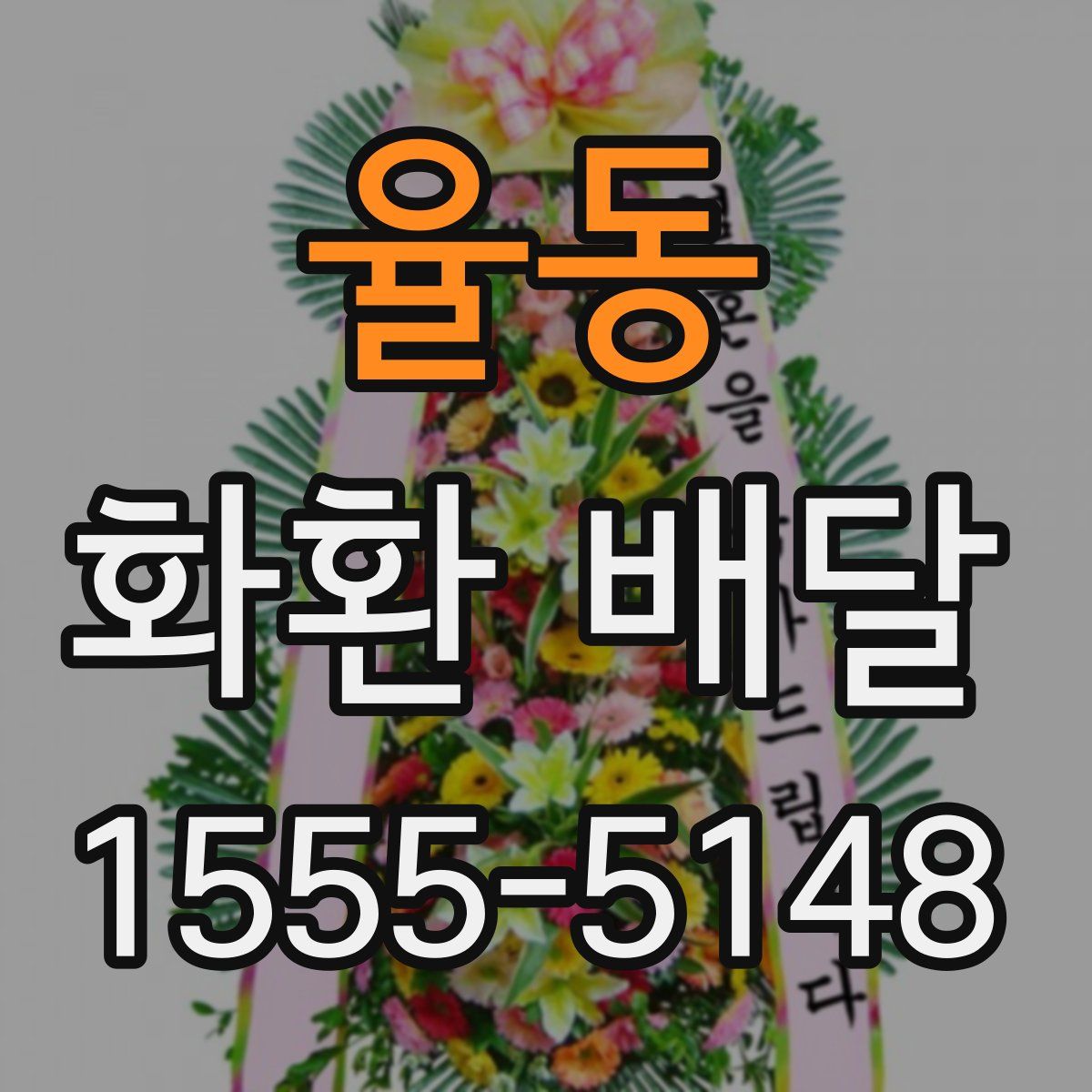 율동 화환 배달