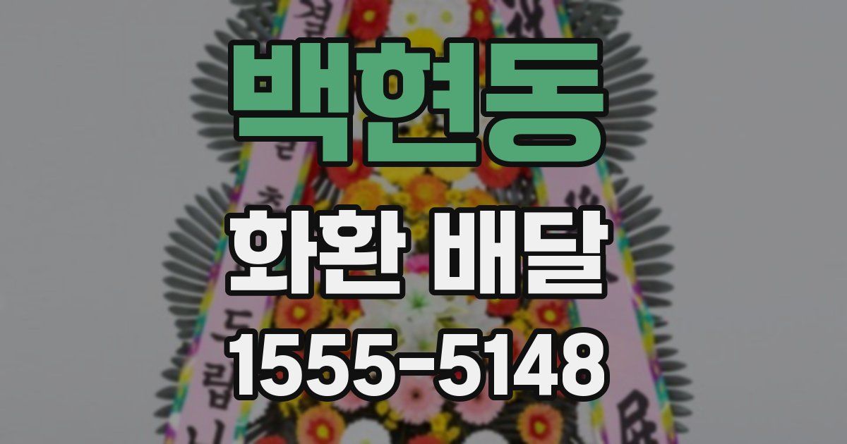 백현동 화환 배달