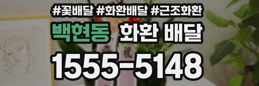 백현동 화환 배달