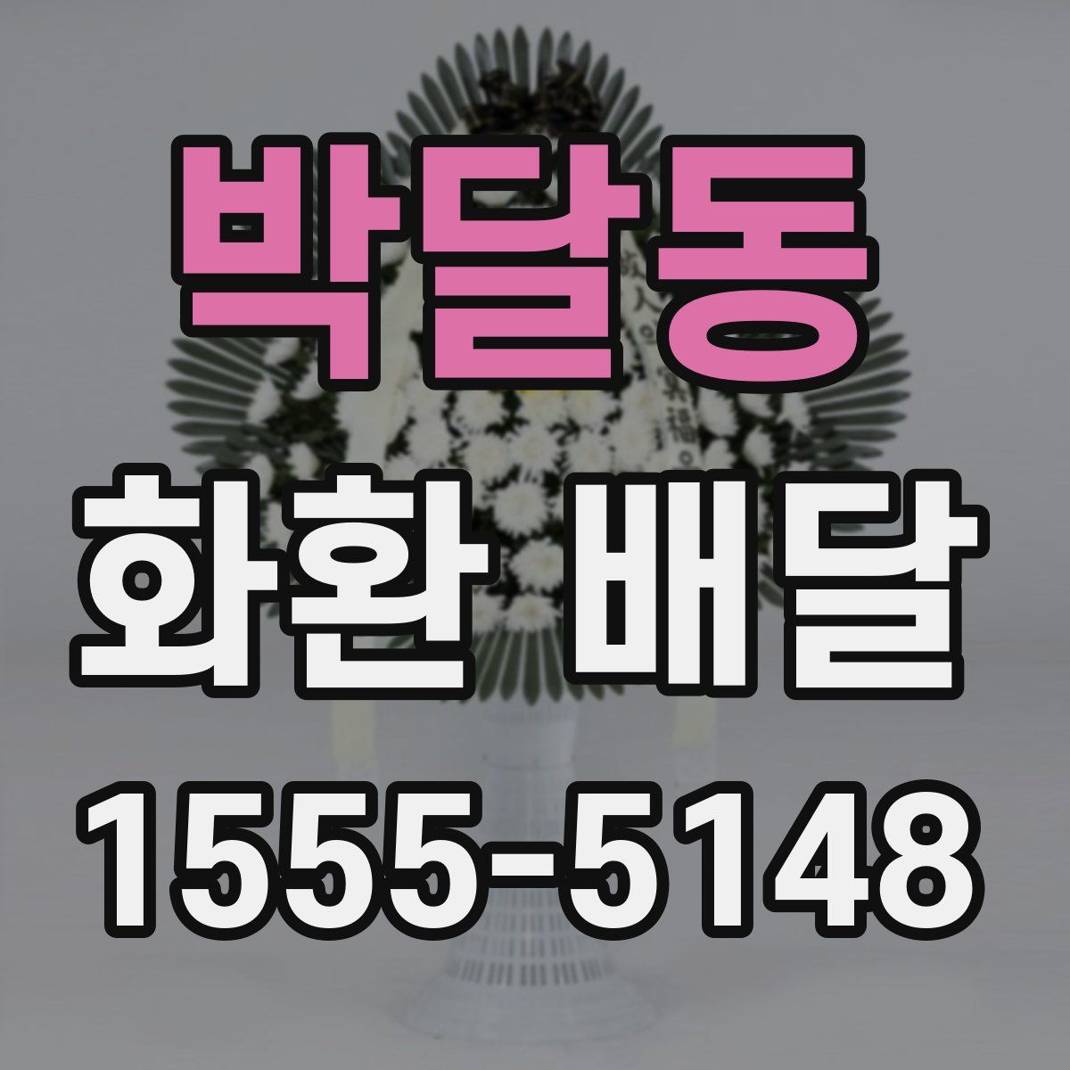 박달동 화환 배달