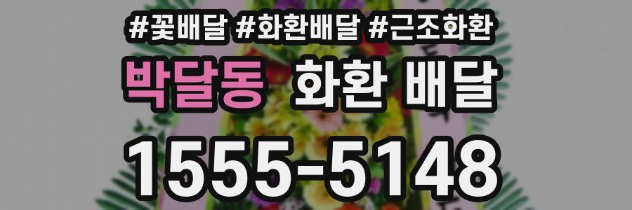 박달동 화환 배달