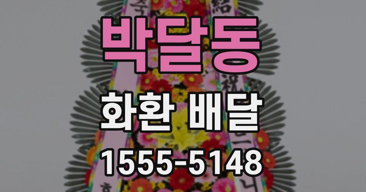 박달동 화환 배달