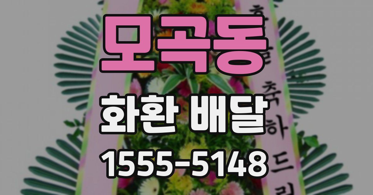 모곡동 화환 배달
