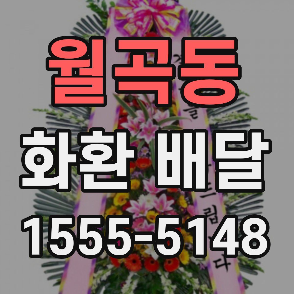 월곡동 화환 배달