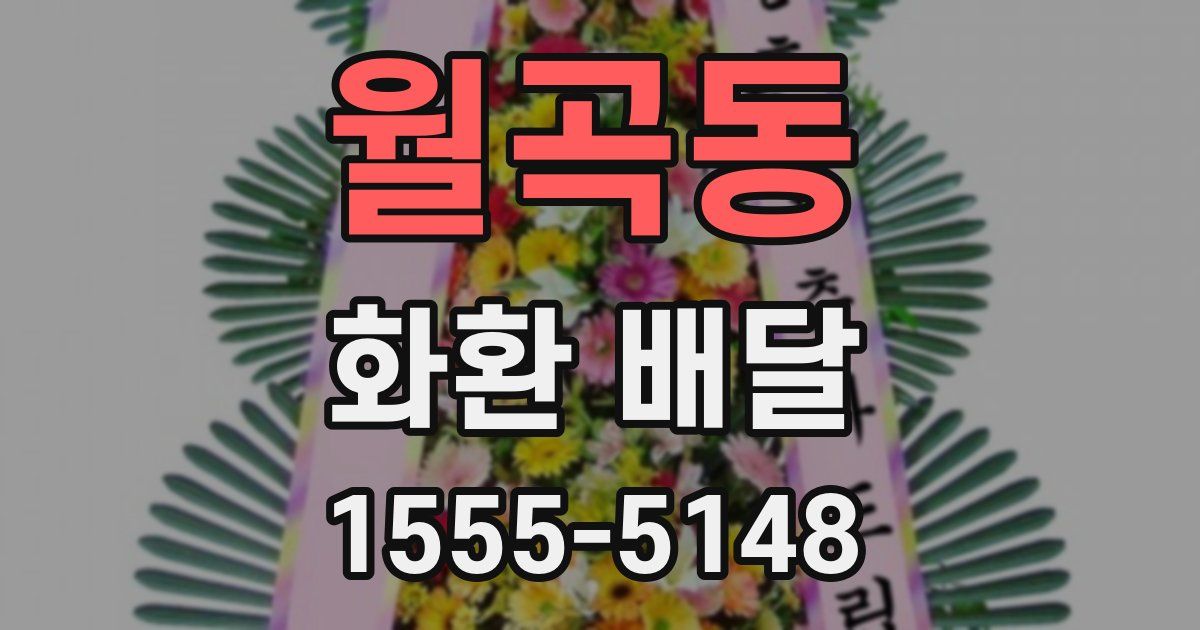 월곡동 화환 배달