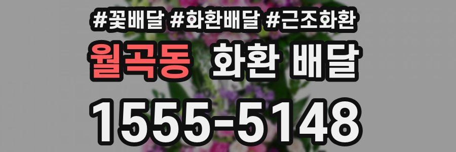 월곡동 화환 배달