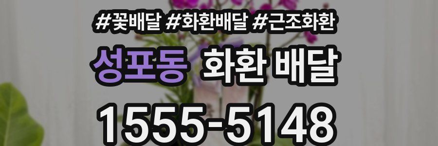 성포동 화환 배달