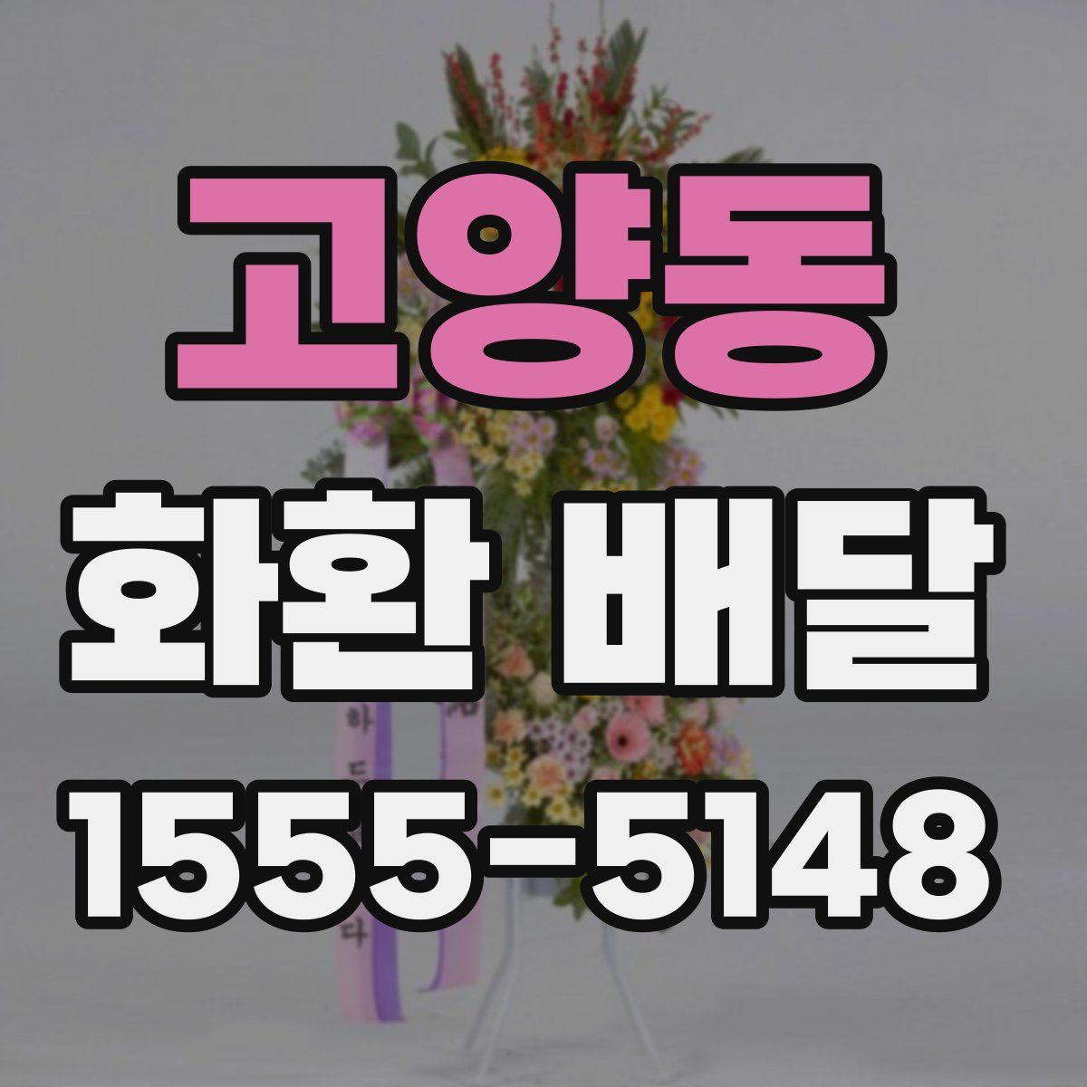 고양동 화환 배달
