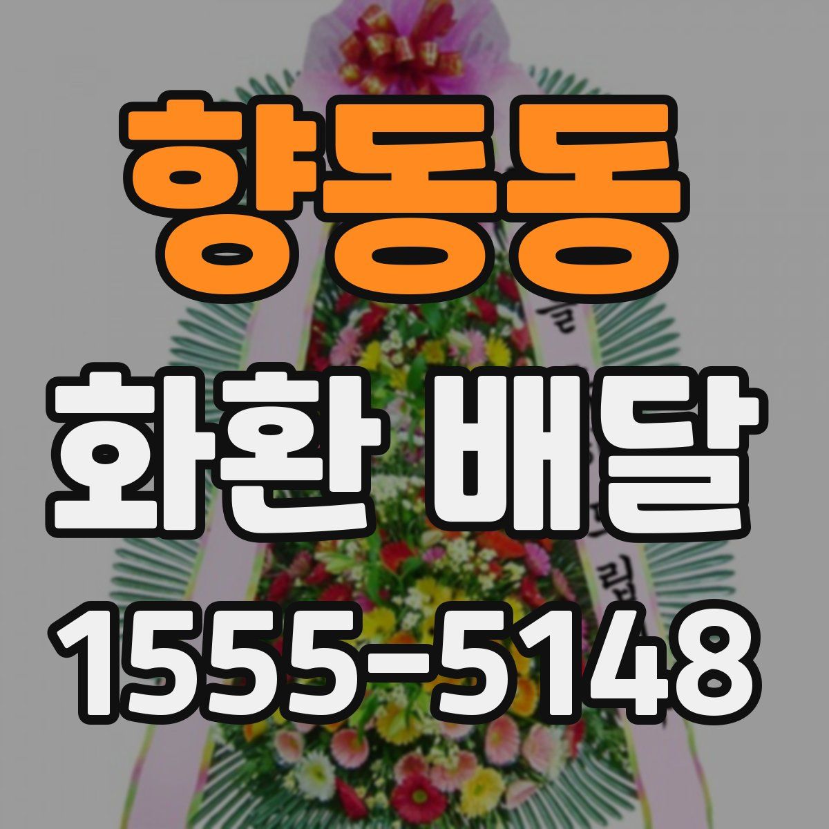 향동동 화환 배달