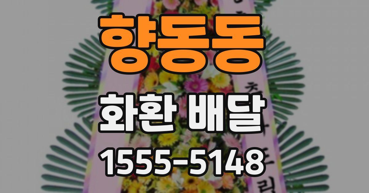 향동동 화환 배달