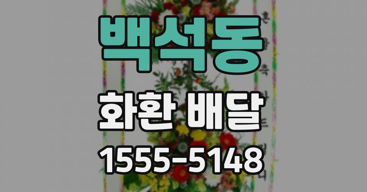 백석동 화환 배달