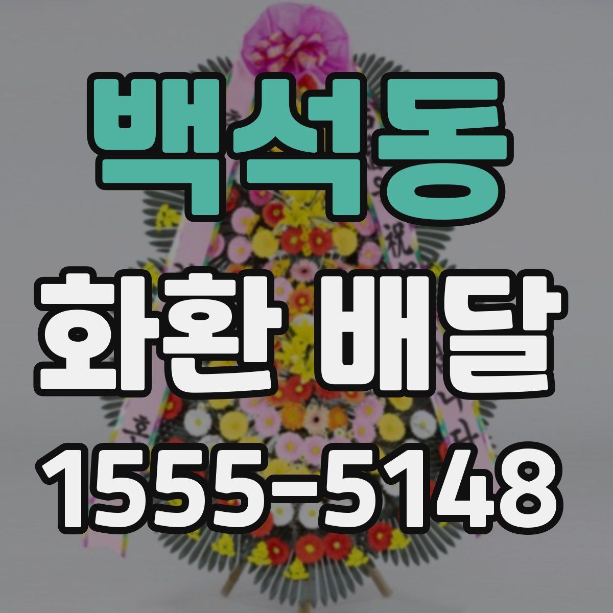 백석동 화환 배달
