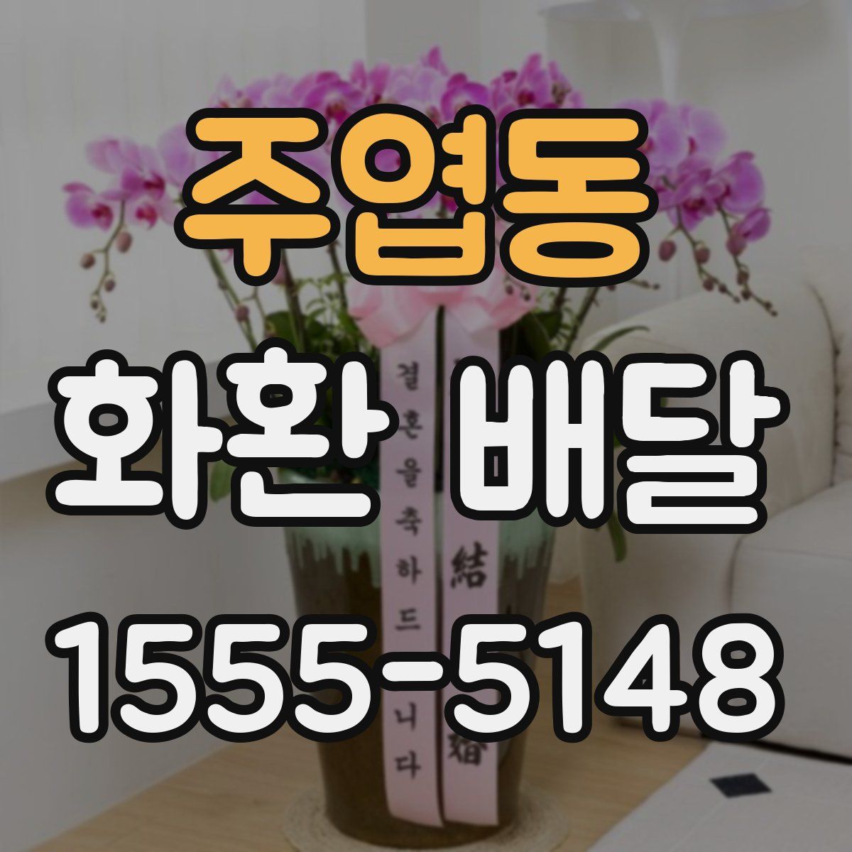 주엽동 화환 배달