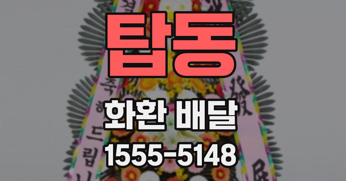 탑동 화환 배달