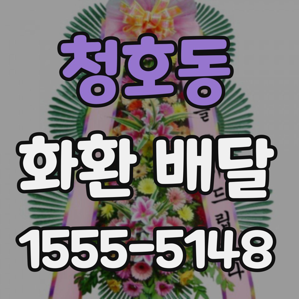 청호동 화환 배달