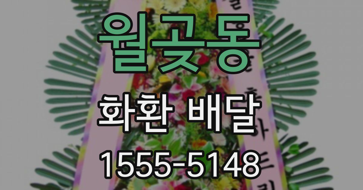 월곶동 화환 배달
