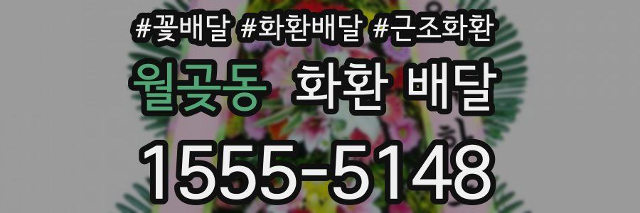 월곶동 화환 배달