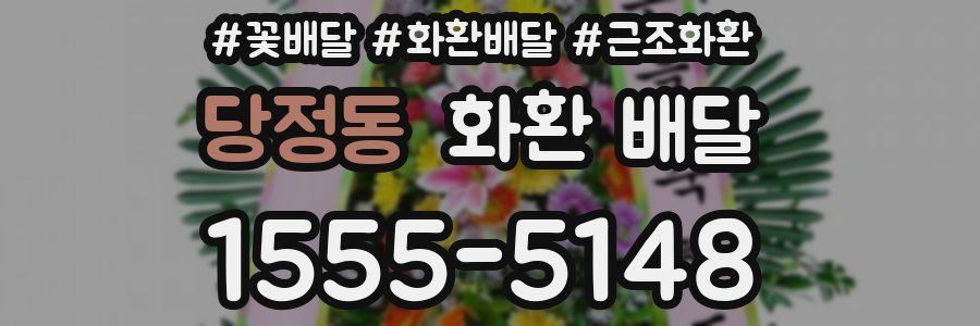 당정동 화환 배달