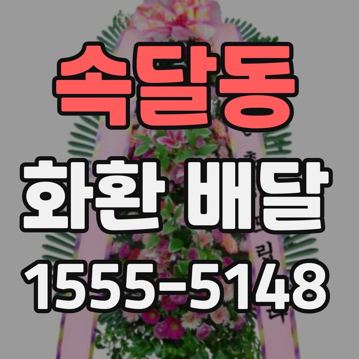 속달동 화환 배달