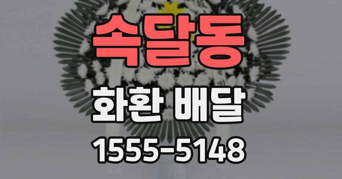 속달동 화환 배달
