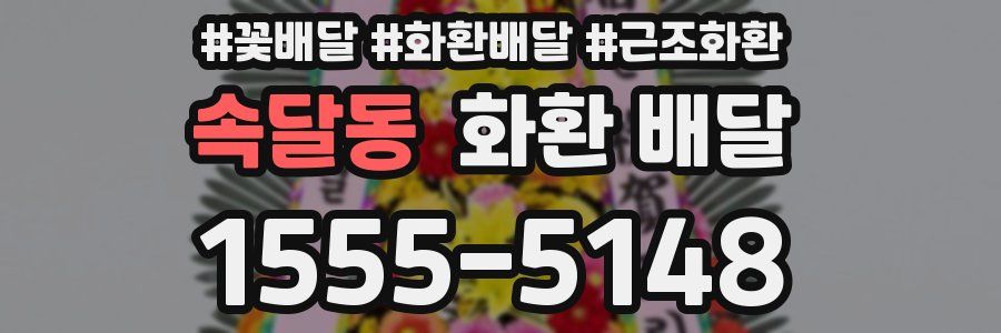 속달동 화환 배달