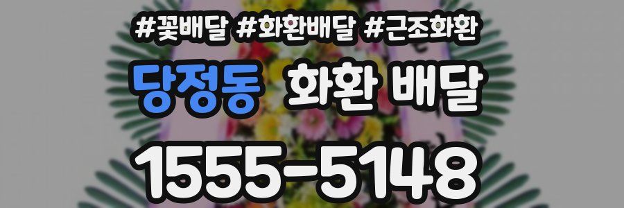 당정동 화환 배달