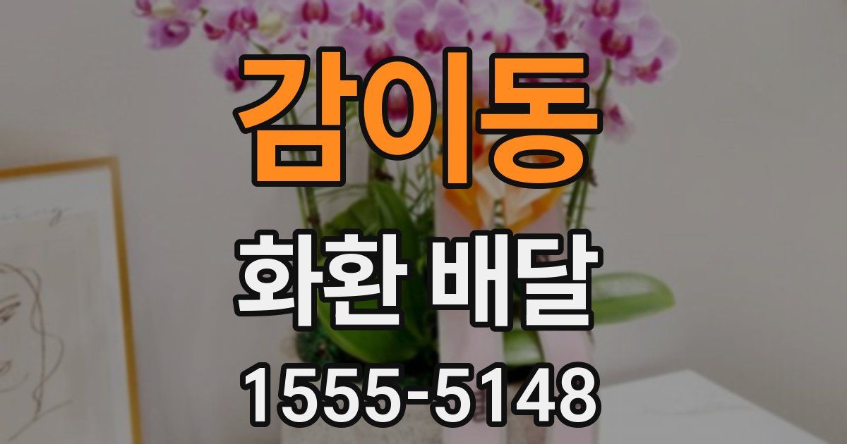 감이동 화환 배달