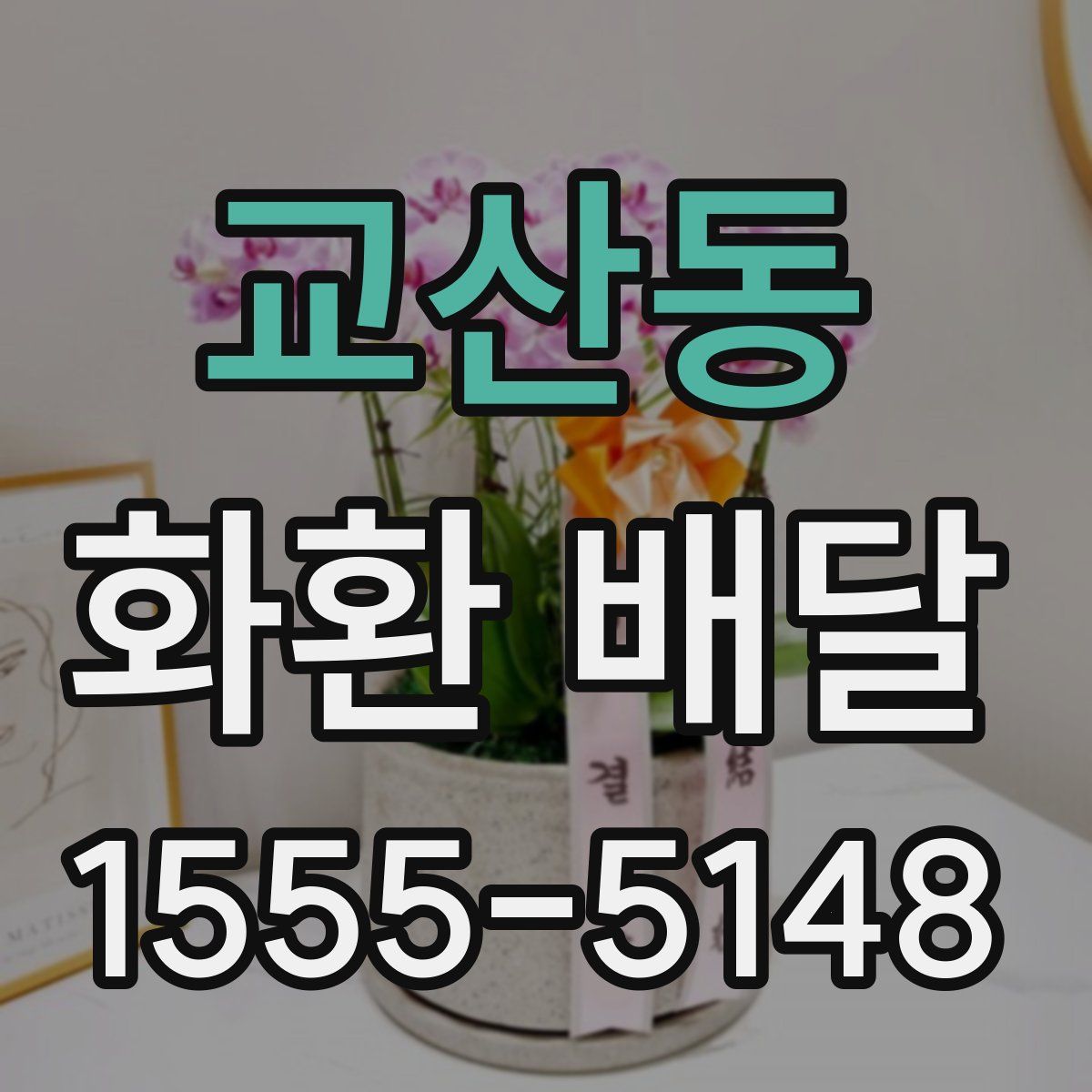 교산동 화환 배달