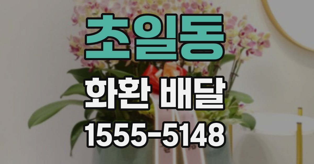 초일동 화환 배달