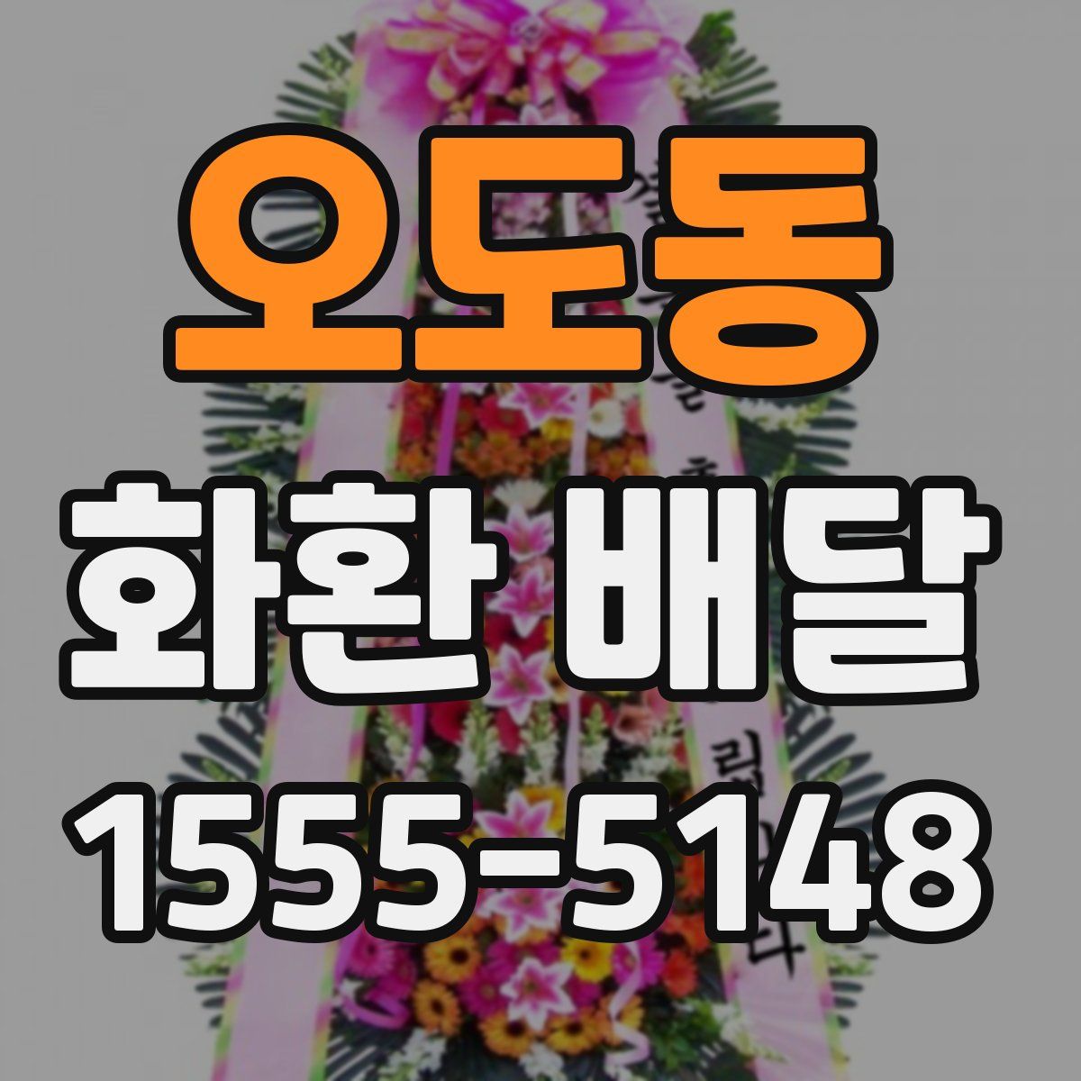 오도동 화환 배달
