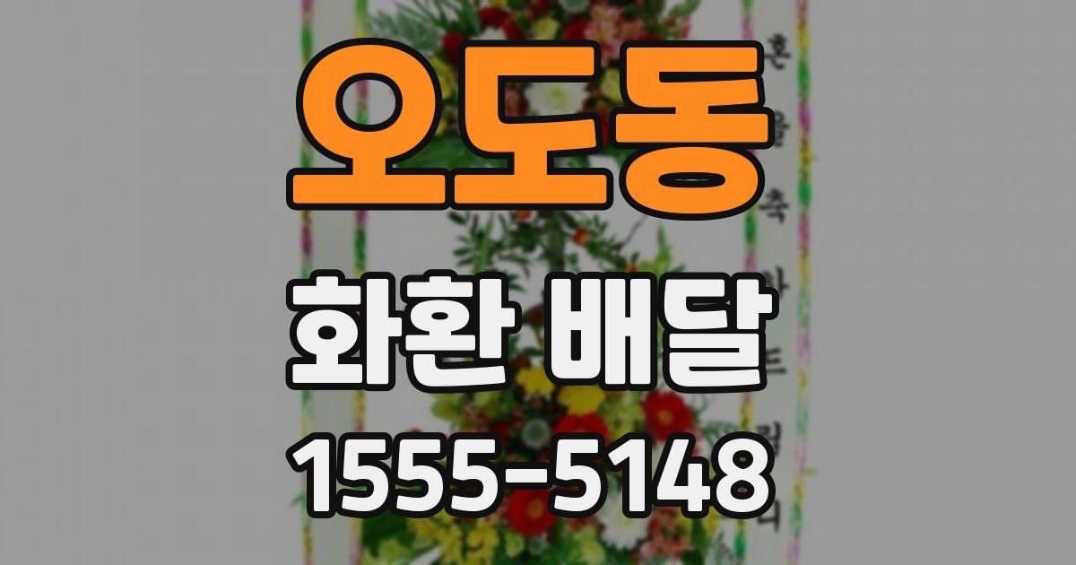 오도동 화환 배달